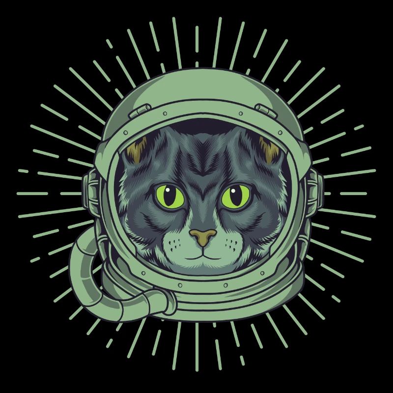 CAT dans l’ESPACE