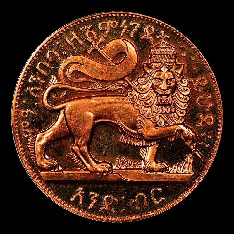 Lion de Juda - Jah Rastafari - Rasta Roots