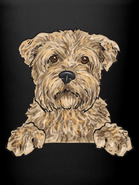 Cairn Terrier Chien