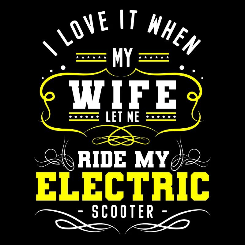 E-Scooter Stromer Roller Sport Hybrid