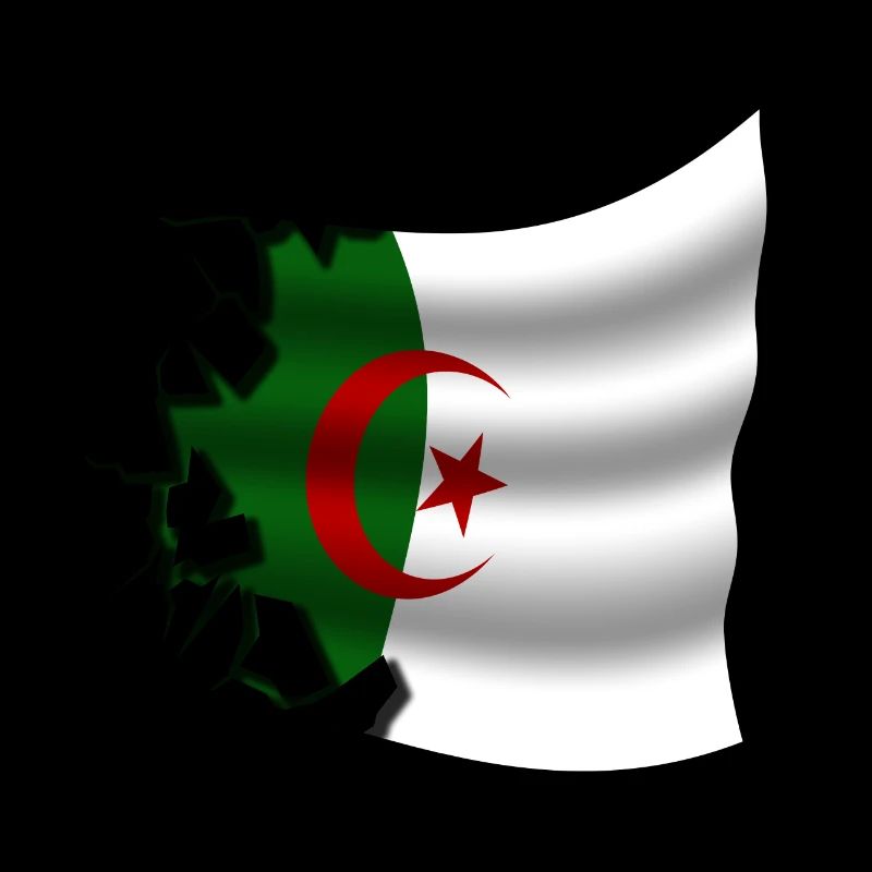 Algérie - Algérie - Drapeau déchiré