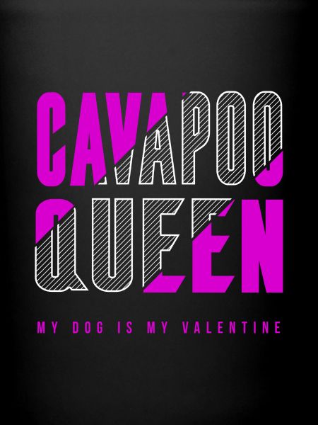 Cavapoo Queen