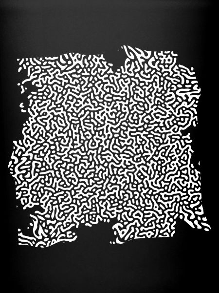 Turing Pattern Blanc - Ver