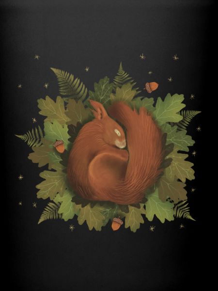 sleeping squirrel
