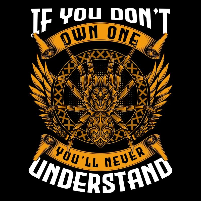 Spider, Animal, Web, Eight Eyes