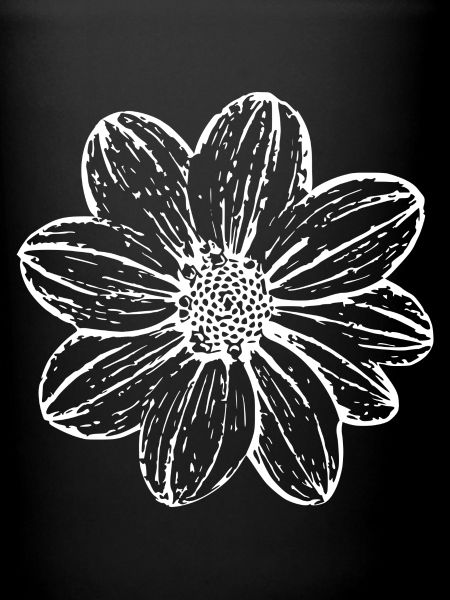 Fleur, Blanc, Fleur Blanche