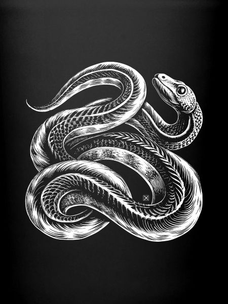 Serpent blanc entrelacé