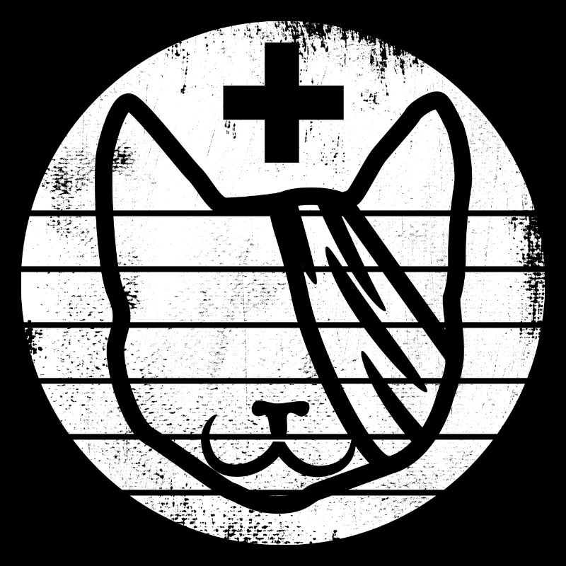 First aid for cats