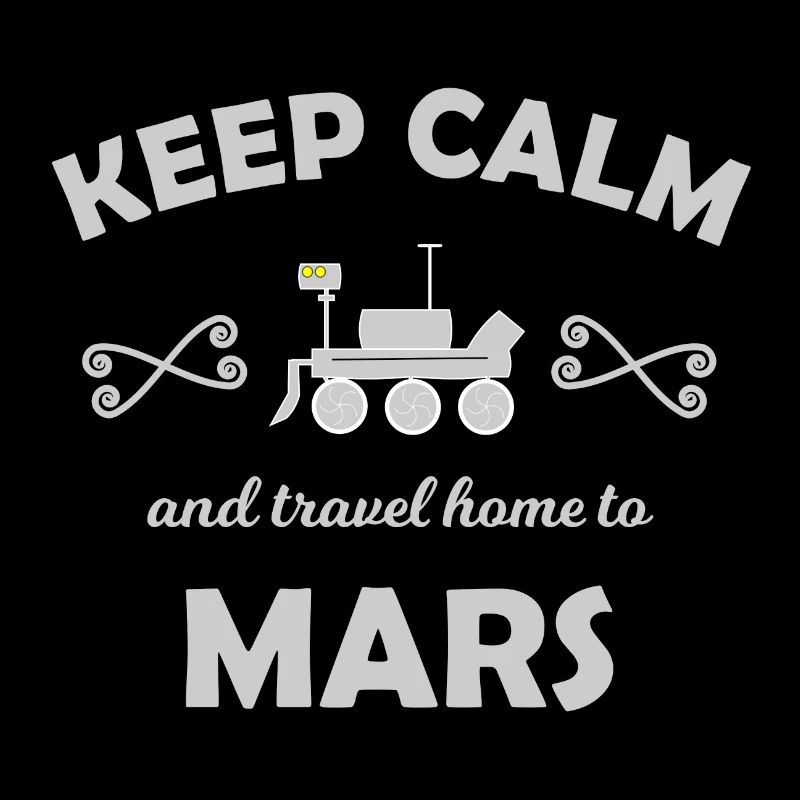 The Mars Mission Team