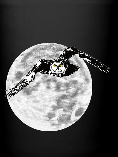 Hibou devant la lune