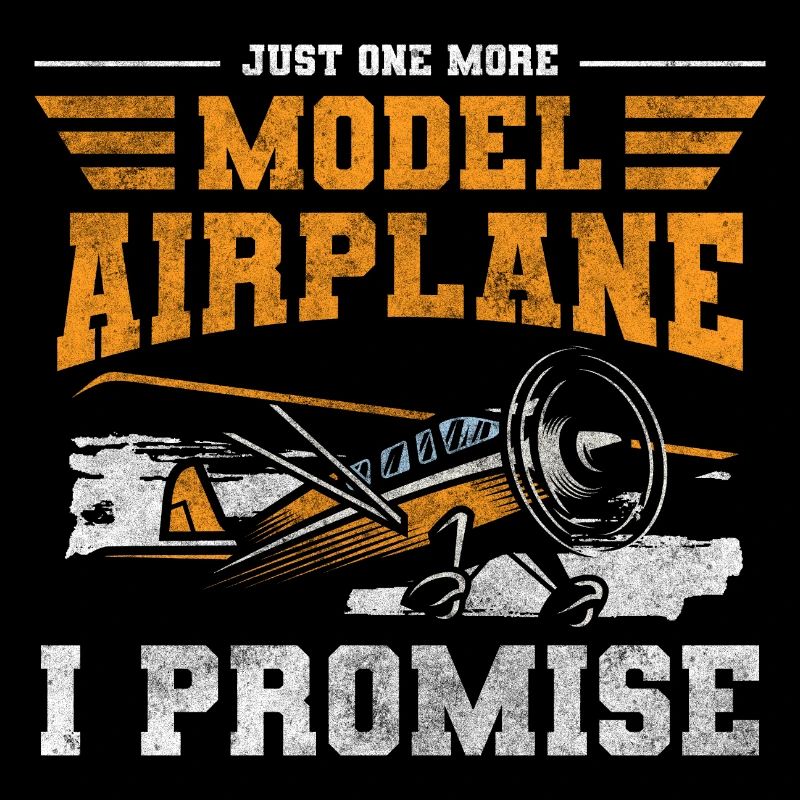 Airplane Hobby Aviator Flight