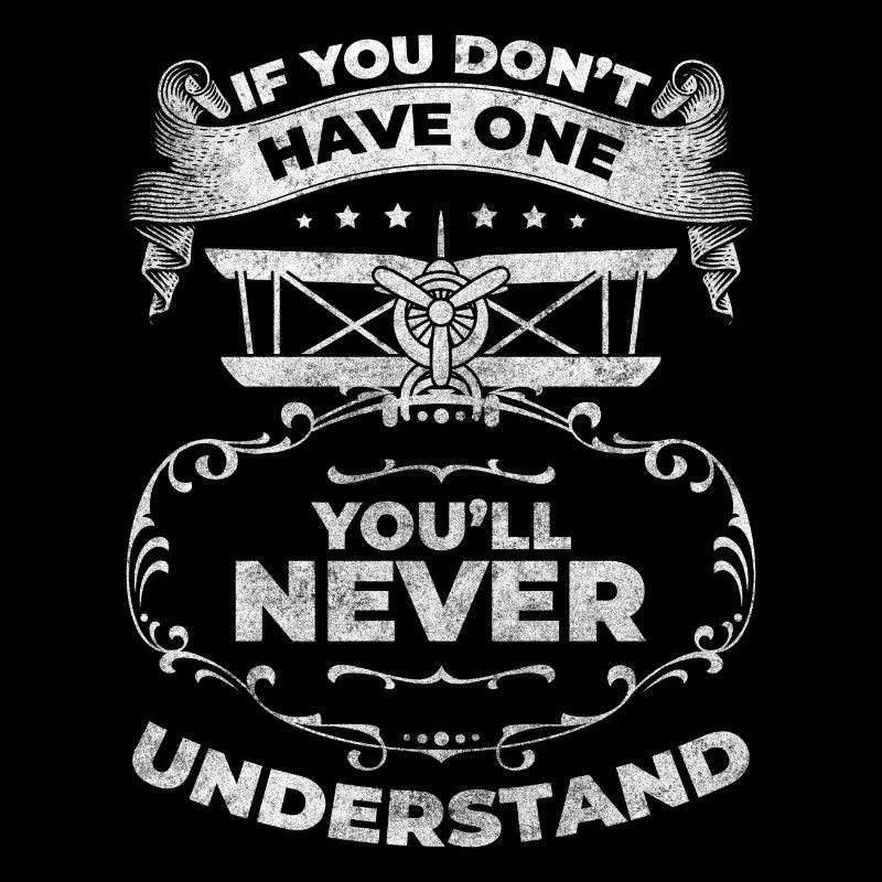 Model Airplane Airplane Flight