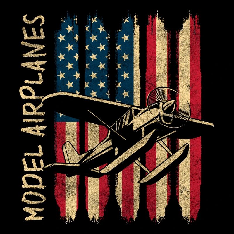 Model Airplane Aircraft
