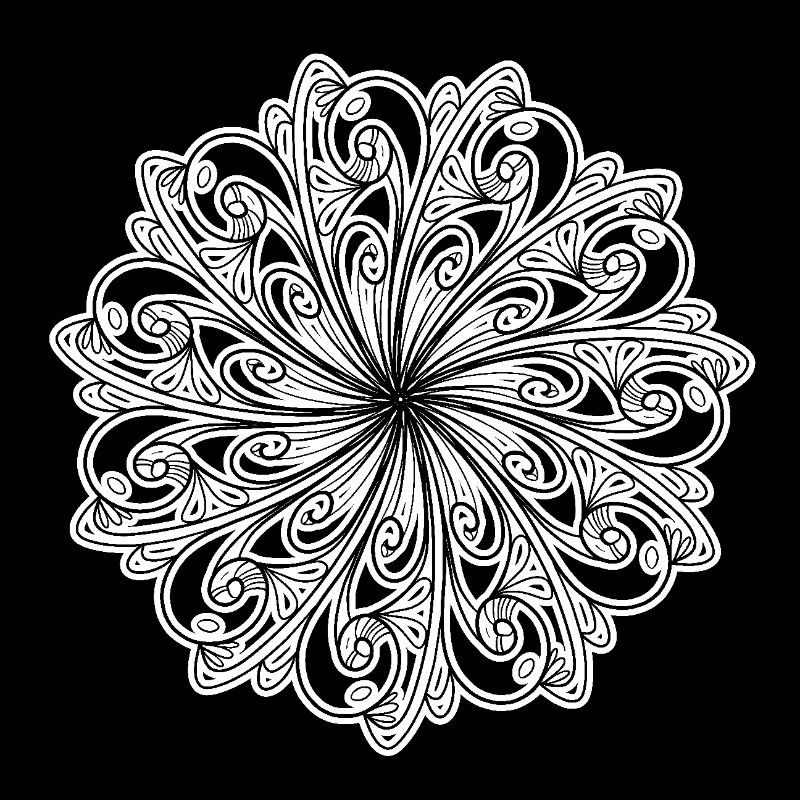 Schwarz-weißes Blumenmuster