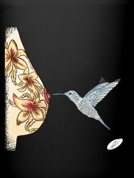 colibri