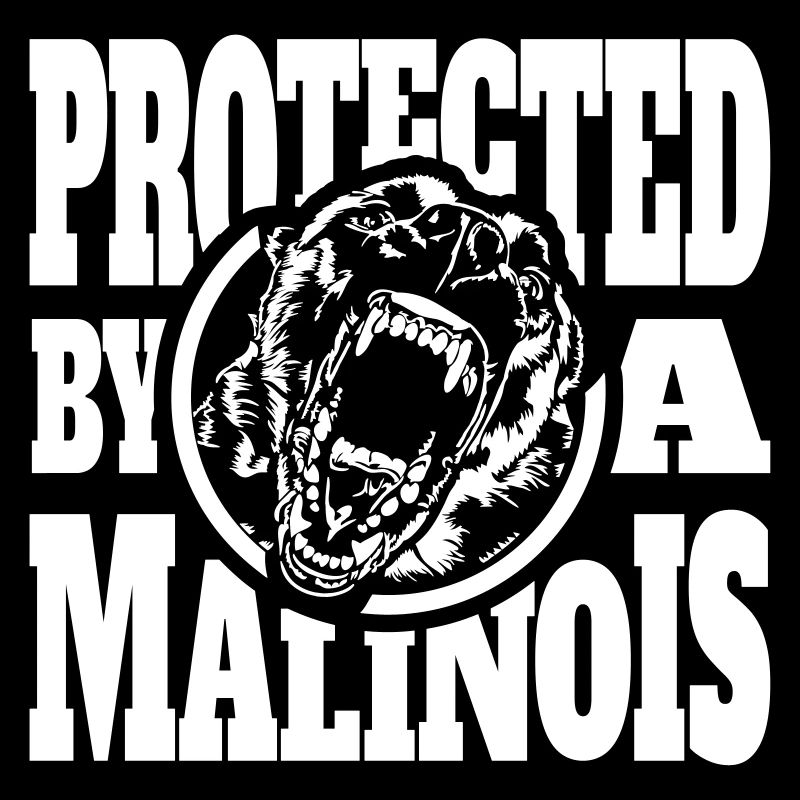 Protected by a MALINOIS Belgian Malinois Wilsigns