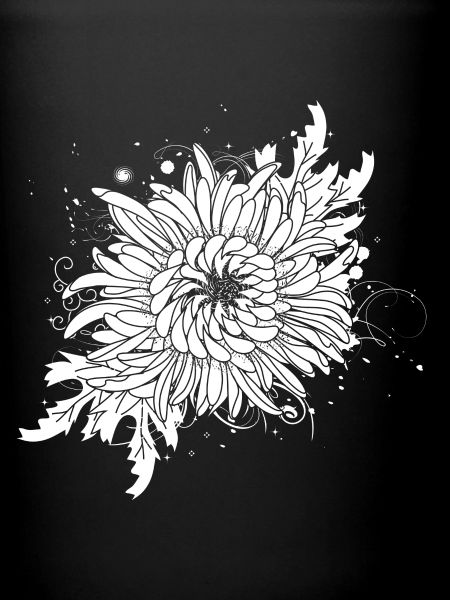 chrysanthème blanc