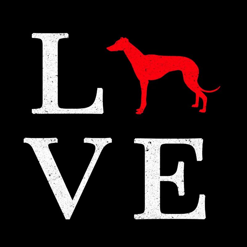 Greyhound Windhund Geschenk