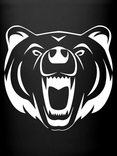 An angry bear