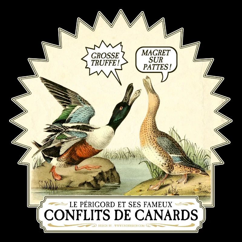 Conflits de Canards