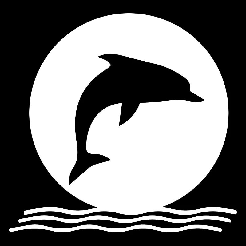 Dolphin dolphins