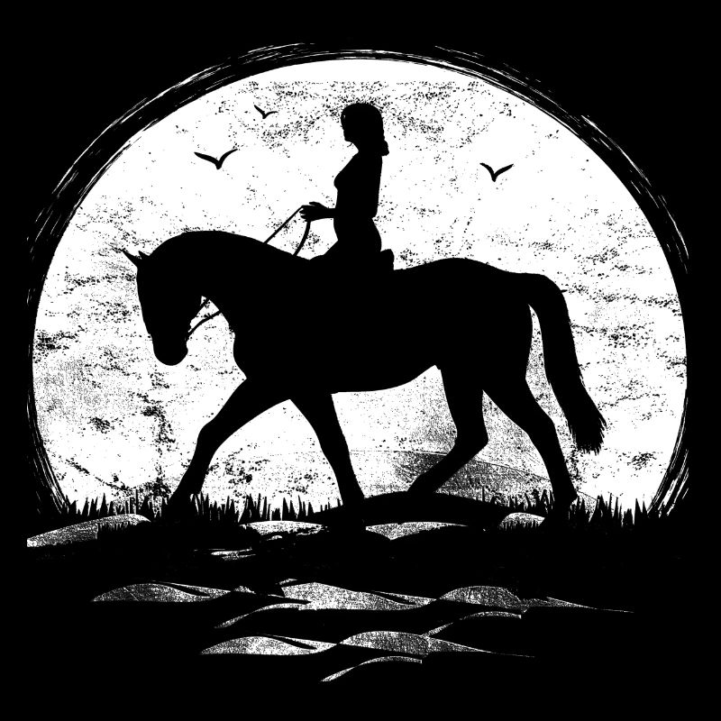 Soleil - lune - équitation - cavalier - cheval - été