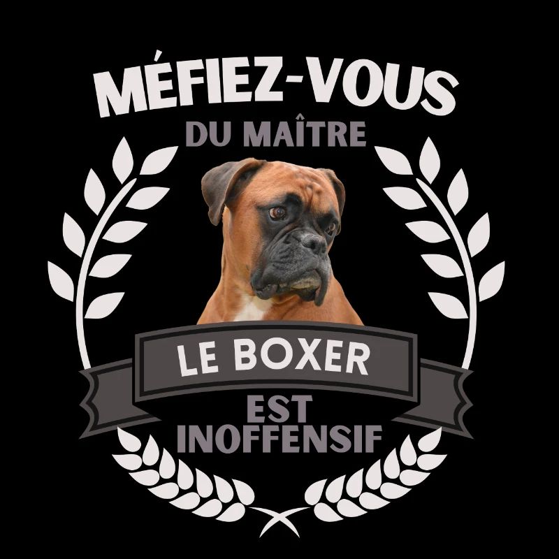 Méfiez-vous du maître - BOXER