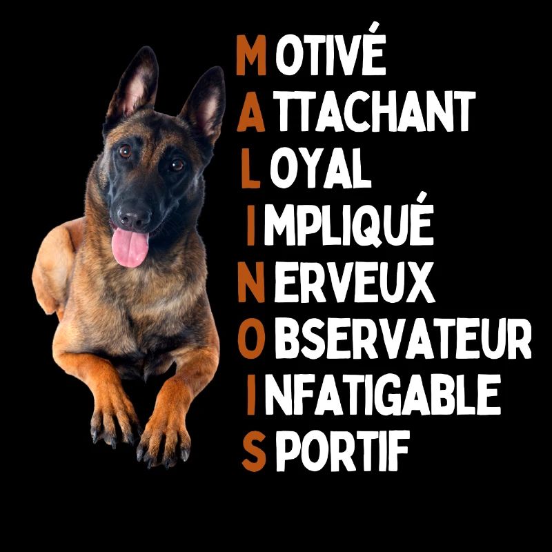 Malinois - idée cadeau