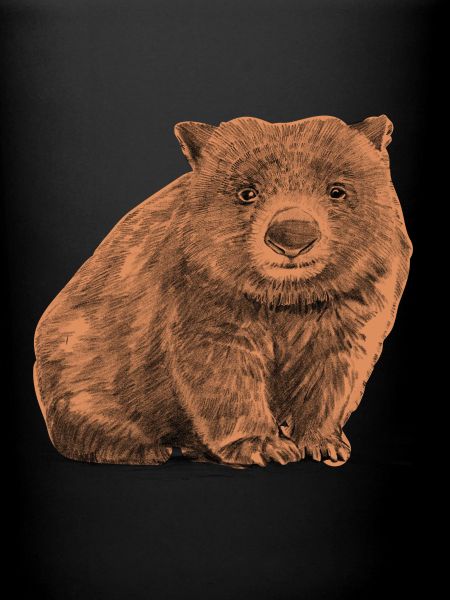 Wombat