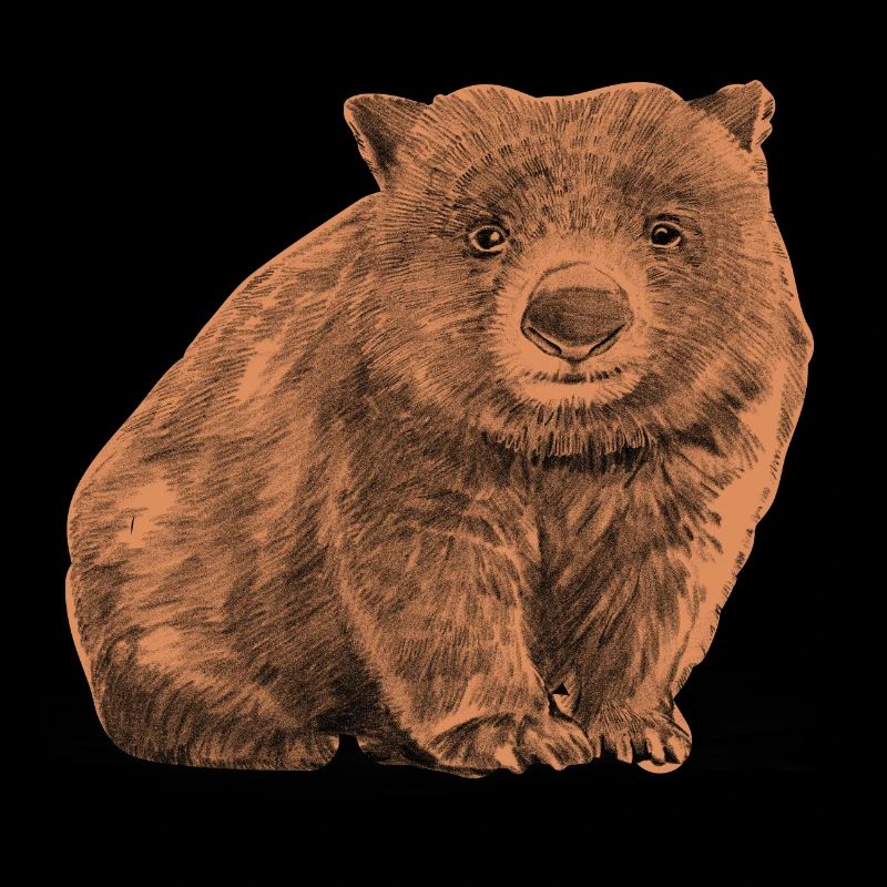 Wombat