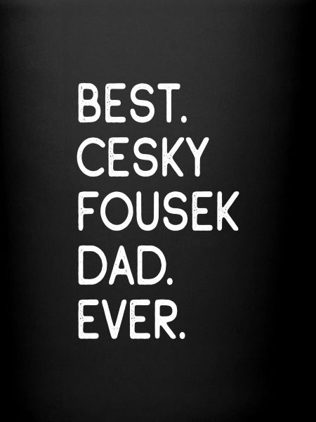 Cesky Fousek Papa