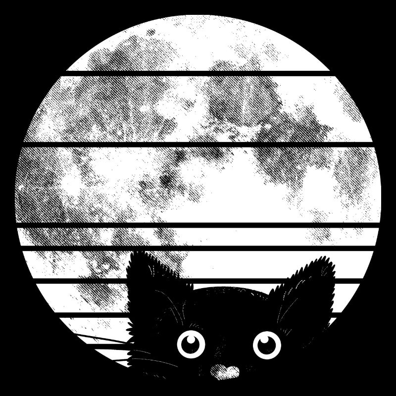 Chat avec lune