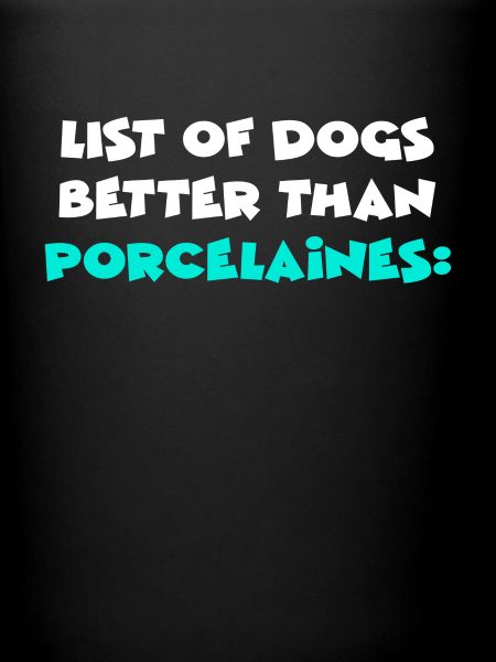 Porcelaines