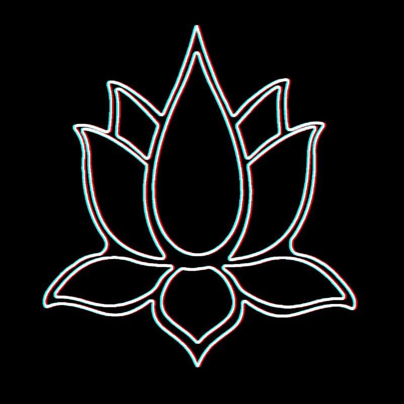 Lotus 3D