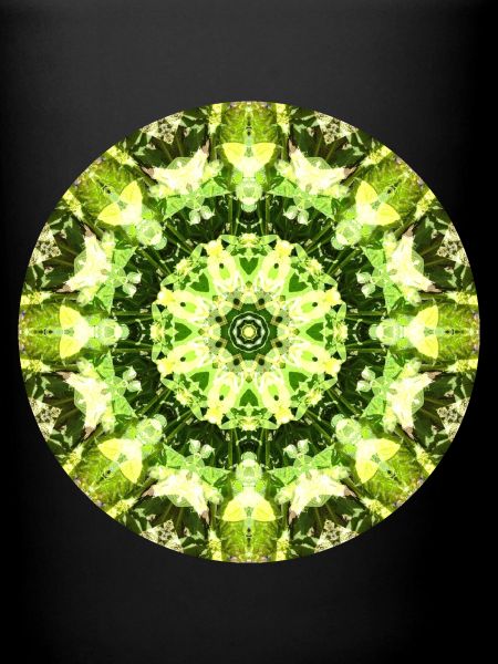 Mandala-Quantum 13