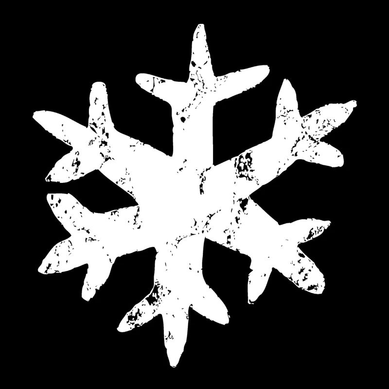 cool snowflake shabby chic
