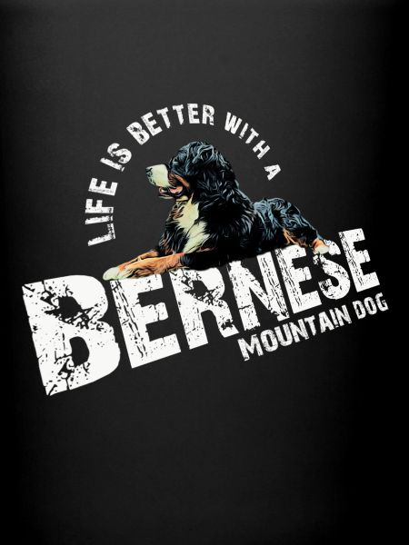 Bouvier bernois