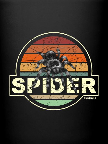 SPIDER france