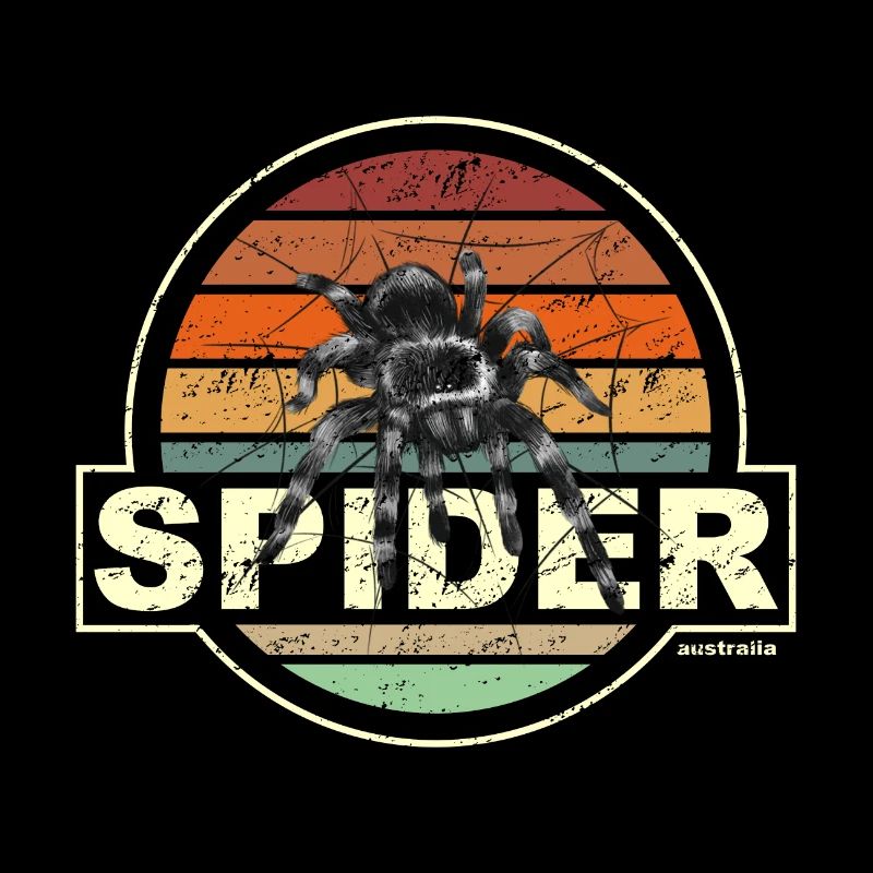 SPIDER france