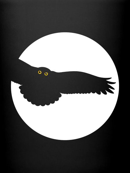Oiseau de nuit