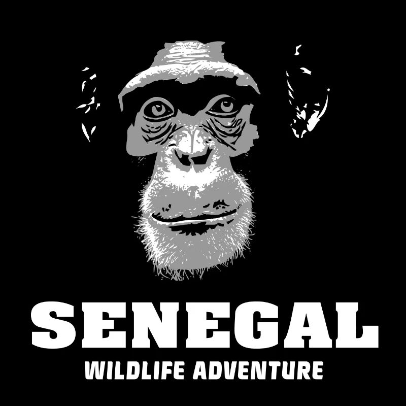 Senegal - Scimpanzé