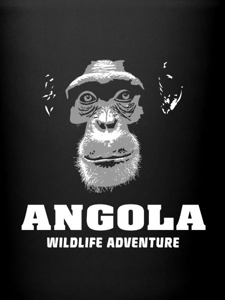 Angola - Chimpanzés