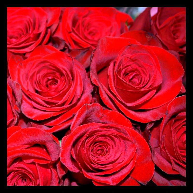 Phone cases with flower pattern