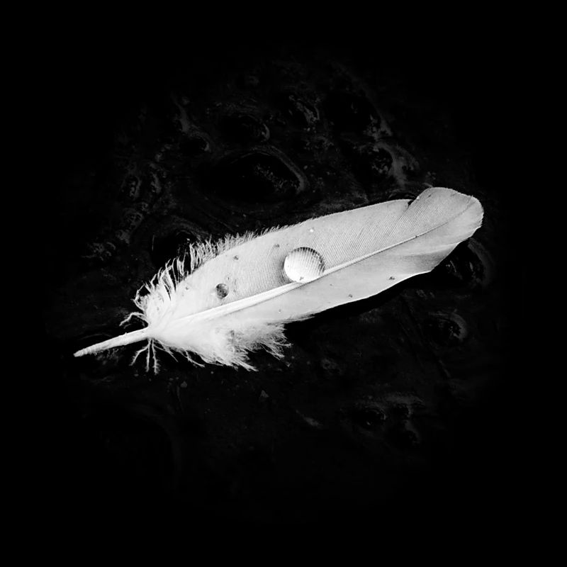 Plume de chagrin - Plume de deuil