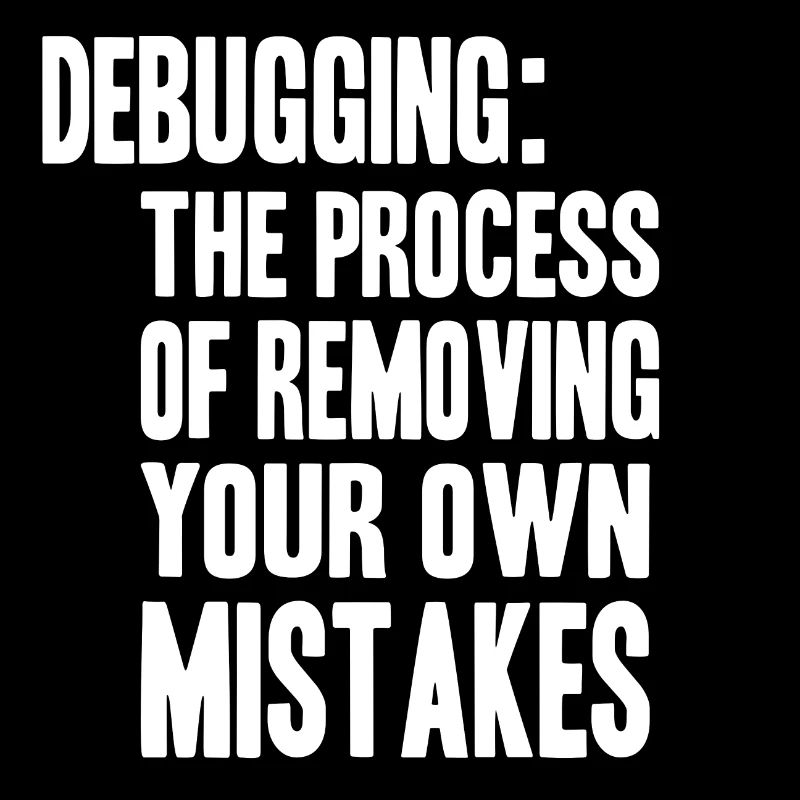 debugging process