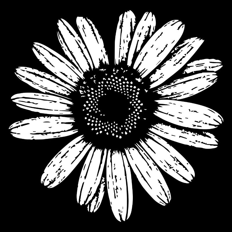 Gänseblümchen, Blume, Frühling, Sommer, Garten,