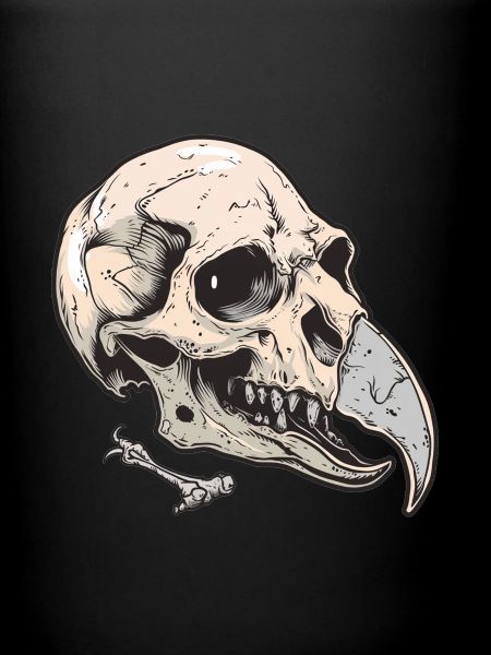 Vulture Head Skeleton