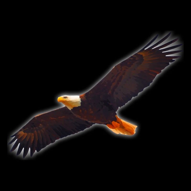 Aigle à tête blanche peint