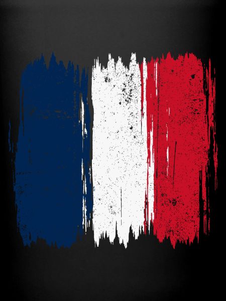 Brushstroke French Flag