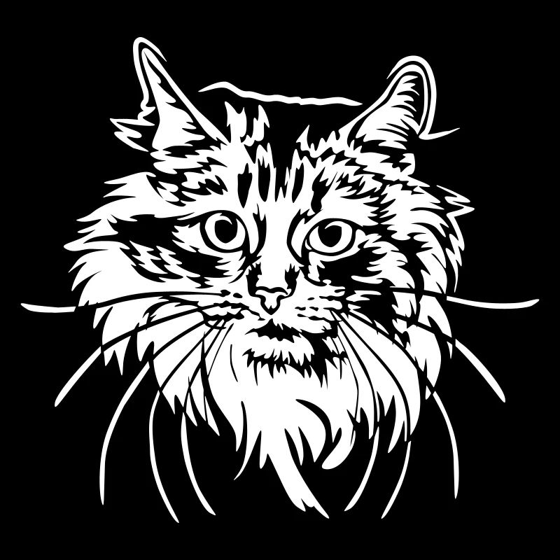 Chat des forêts norvégiennes « Black Edition »